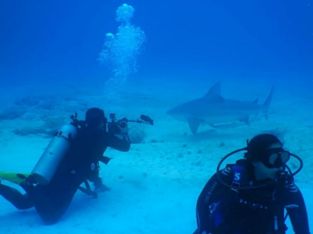  在金塔纳罗奥州潜水 